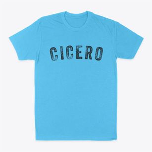 Cicero Illinois Timeless Retro Classic Dad T-Shirt