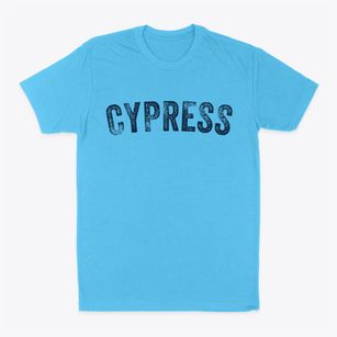 Cypress Illinois Timeless Retro Classic Dad T-Shirt