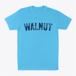 Walnut Kansas Timeless Retro Classic Dad T-Shirt