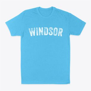 Windsor Wisconsin Timeless Retro Classic Dad T-Shirt