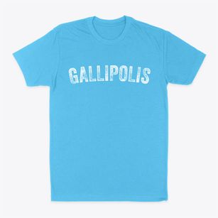 Gallipolis Ohio Timeless Retro Classic Dad T-Shirt