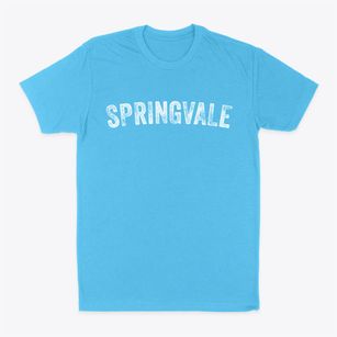Springvale Wisconsin Timeless Retro Classic Dad T-Shirt