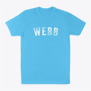 Webb Mississippi Timeless Retro Classic Dad T-Shirt