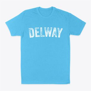 Delway North Carolina Timeless Retro Classic Dad T-Shirt