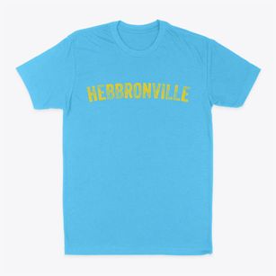 Hebbronville Texas Timeless Retro Classic Dad T-Shirt