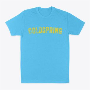 Coldspring New York Timeless Retro Classic Dad T-Shirt