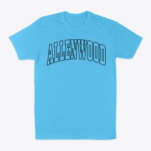 Allenwood Pennsylvania Trendy Block Classic Dad T-Shirt