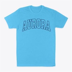 Aurora Illinois Trendy Block Classic Dad T-Shirt