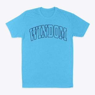 Windom Minnesota Trendy Block Classic Dad T-Shirt