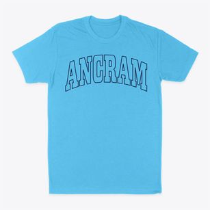 Ancram New York Trendy Block Classic Dad T-Shirt