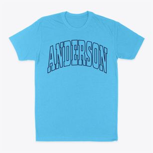 Anderson South Carolina Trendy Block Classic Dad T-Shirt
