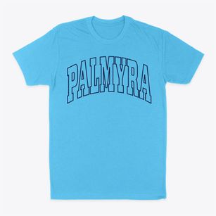 Palmyra Indiana Trendy Block Classic Dad T-Shirt