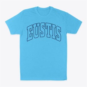 Eustis Maine Trendy Block Classic Dad T-Shirt