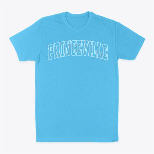 Princeville North Carolina Trendy Block Classic Dad T-Shirt