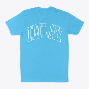 Imlay Nevada Trendy Block Classic Dad T-Shirt