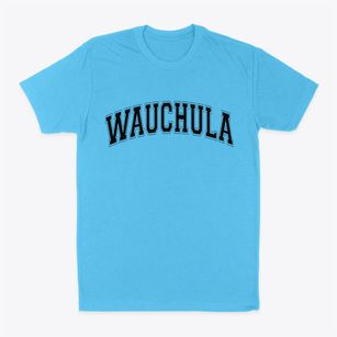 Wauchula Florida Varsity Classic Dad T-Shirt