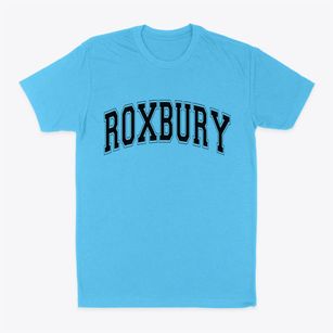 Roxbury New York Varsity Classic Dad T-Shirt