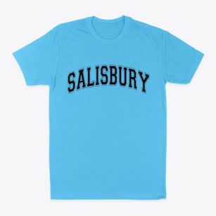 Salisbury New York Varsity Classic Dad T-Shirt