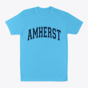 Amherst Wisconsin Varsity Classic Dad T-Shirt