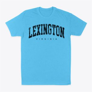Lexington Virginia Urban Vibe Classic Dad T-Shirt