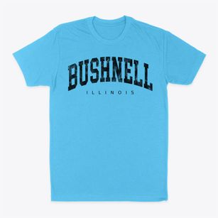 Bushnell Illinois Urban Vibe Classic Dad T-Shirt