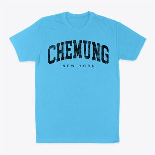Chemung New York Urban Vibe Classic Dad T-Shirt