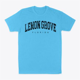 Lemon Grove Florida Urban Vibe Classic Dad T-Shirt