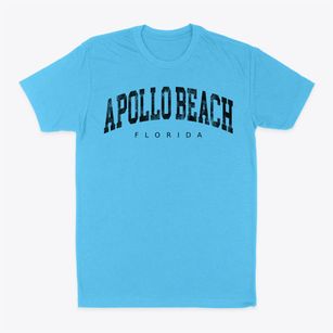 Apollo Beach Florida Urban Vibe Classic Dad T-Shirt