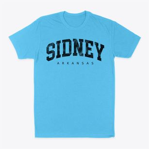Sidney Arkansas Urban Vibe Classic Dad T-Shirt