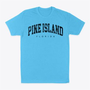 Pine Island Florida Urban Vibe Classic Dad T-Shirt