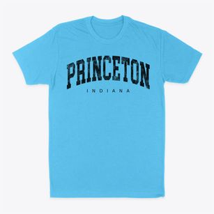 Princeton Indiana Urban Vibe Classic Dad T-Shirt