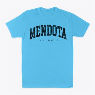 Mendota Illinois Urban Vibe Classic Dad T-Shirt