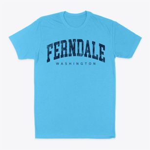 Ferndale Washington Urban Vibe Classic Dad T-Shirt