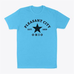 Pleasant City Ohio Star Classic Dad T-Shirt