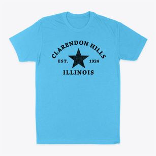Clarendon Hills Illinois Star Classic Dad T-Shirt