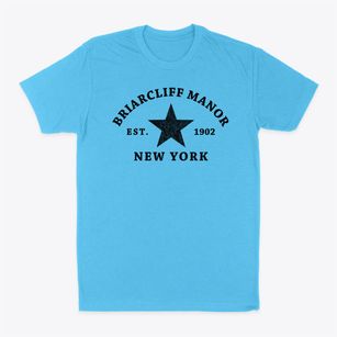 Briarcliff Manor New York Star Classic Dad T-Shirt