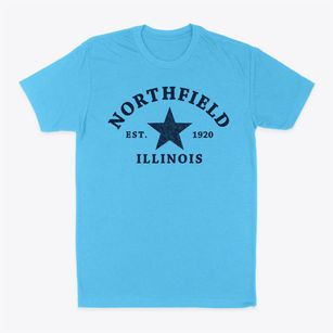 Northfield Illinois Star Classic Dad T-Shirt
