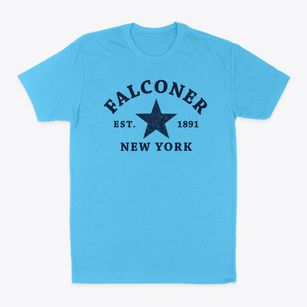 Falconer New York Star Classic Dad T-Shirt