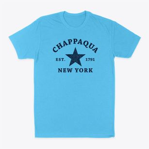 Chappaqua New York Star Classic Dad T-Shirt