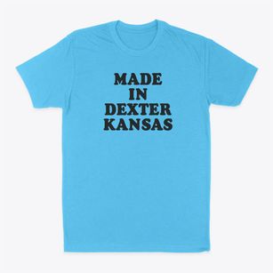 Dexter Kansas Classic 70s Classic Dad T-Shirt