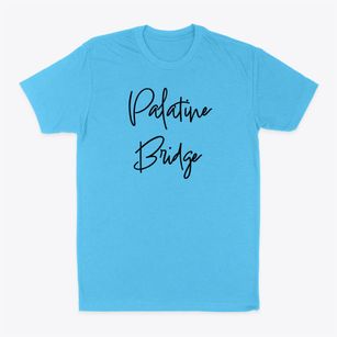 Palatine Bridge New York Freestyle Classic Dad T-Shirt