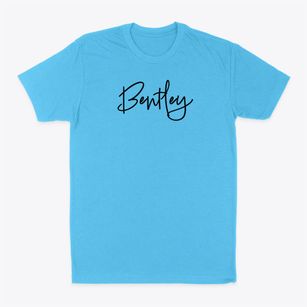 Bentley Iowa Freestyle Classic Dad T-Shirt