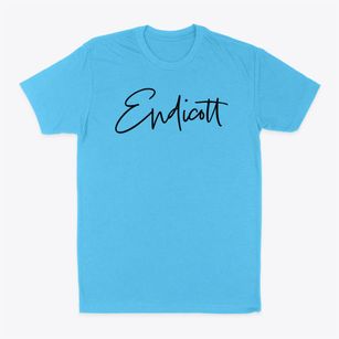 Endicott New York Freestyle Classic Dad T-Shirt