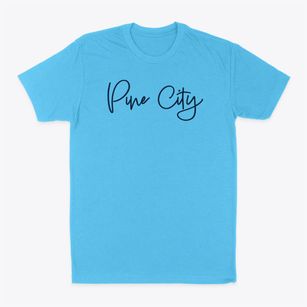 Pine City New York Freestyle Classic Dad T-Shirt