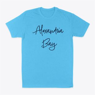 Alexandria Bay New York Freestyle Classic Dad T-Shirt