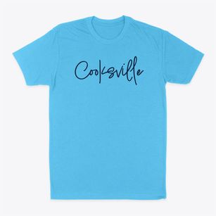 Cooksville Illinois Freestyle Classic Dad T-Shirt