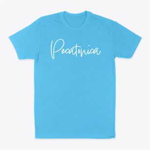 Pecatonica Illinois Freestyle Classic Dad T-Shirt