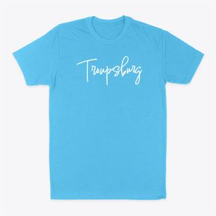 Troupsburg New York Freestyle Classic Dad T-Shirt
