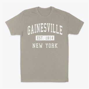 Gainesville New York Classic Established Classic Dad T-Shirt