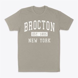Brocton New York Classic Established Classic Dad T-Shirt